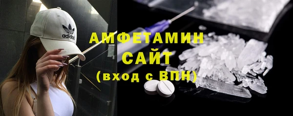 прущие грибы Надым