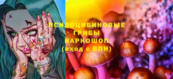 мдпв Новодвинск