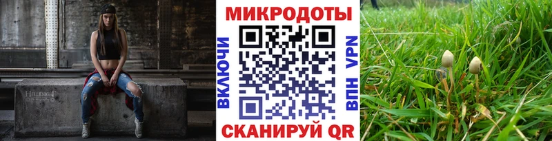 купить наркоту  Куса  OMG вход  Псилоцибиновые грибы Psilocybe 